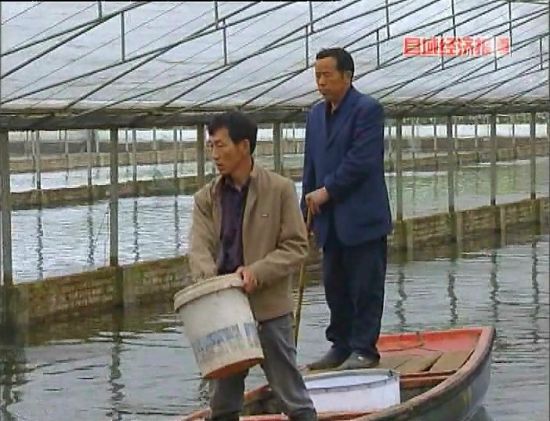 江苏溧阳市上黄镇大棚养殖的青虾集中上市了